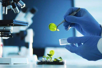 2022年大氣污染治理策略 聚焦生物化工技術(shù)研發(fā)與207億預(yù)算的優(yōu)化應(yīng)用